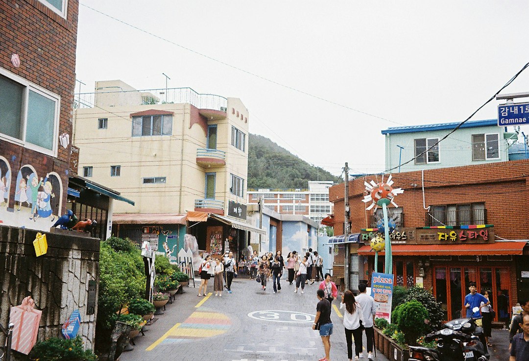 땡처리패키지 참고 이미지 2