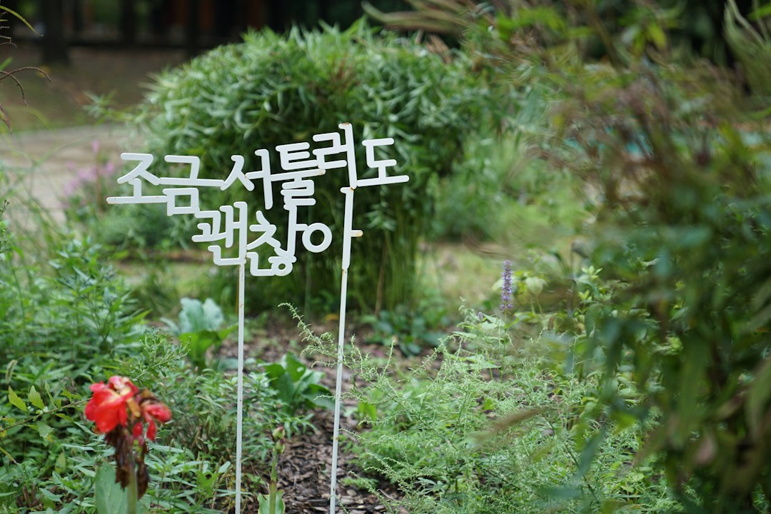 갈만한곳 참고 이미지 2
